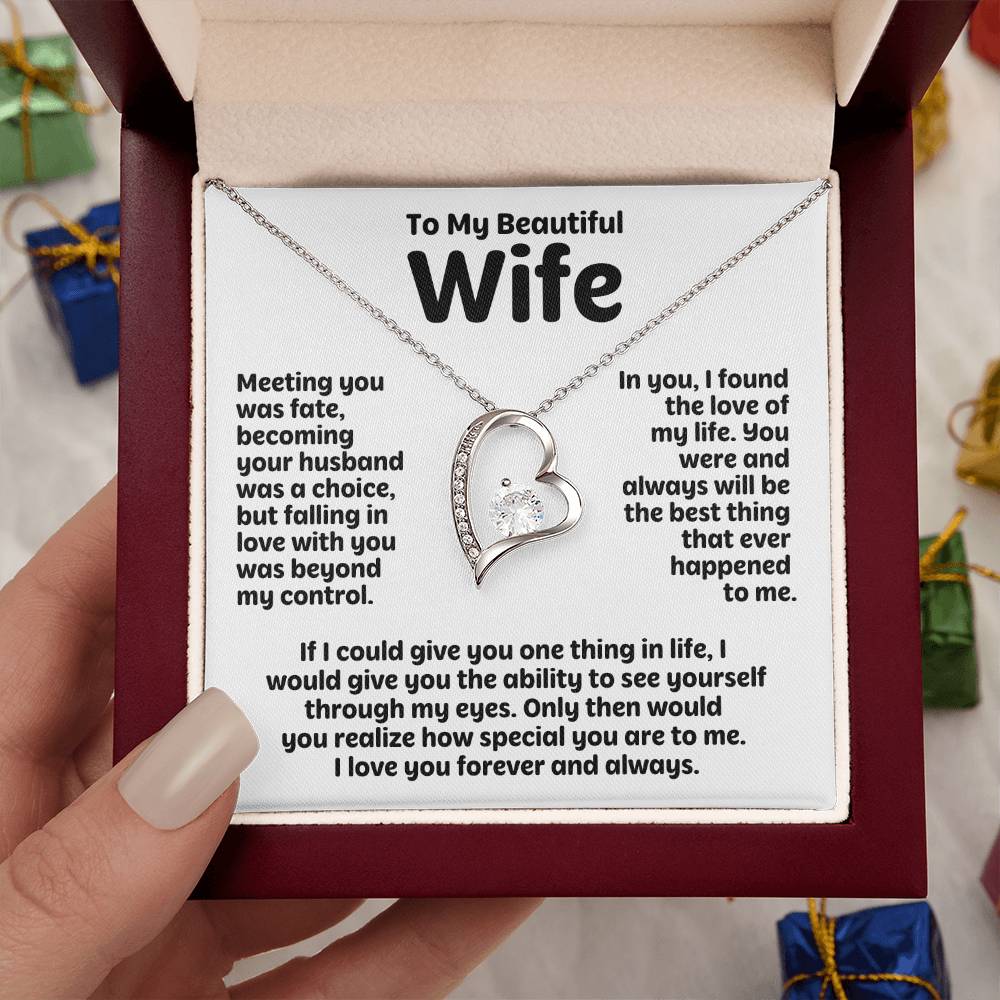 To My Beautiful Wife (Meeting You was Fate)