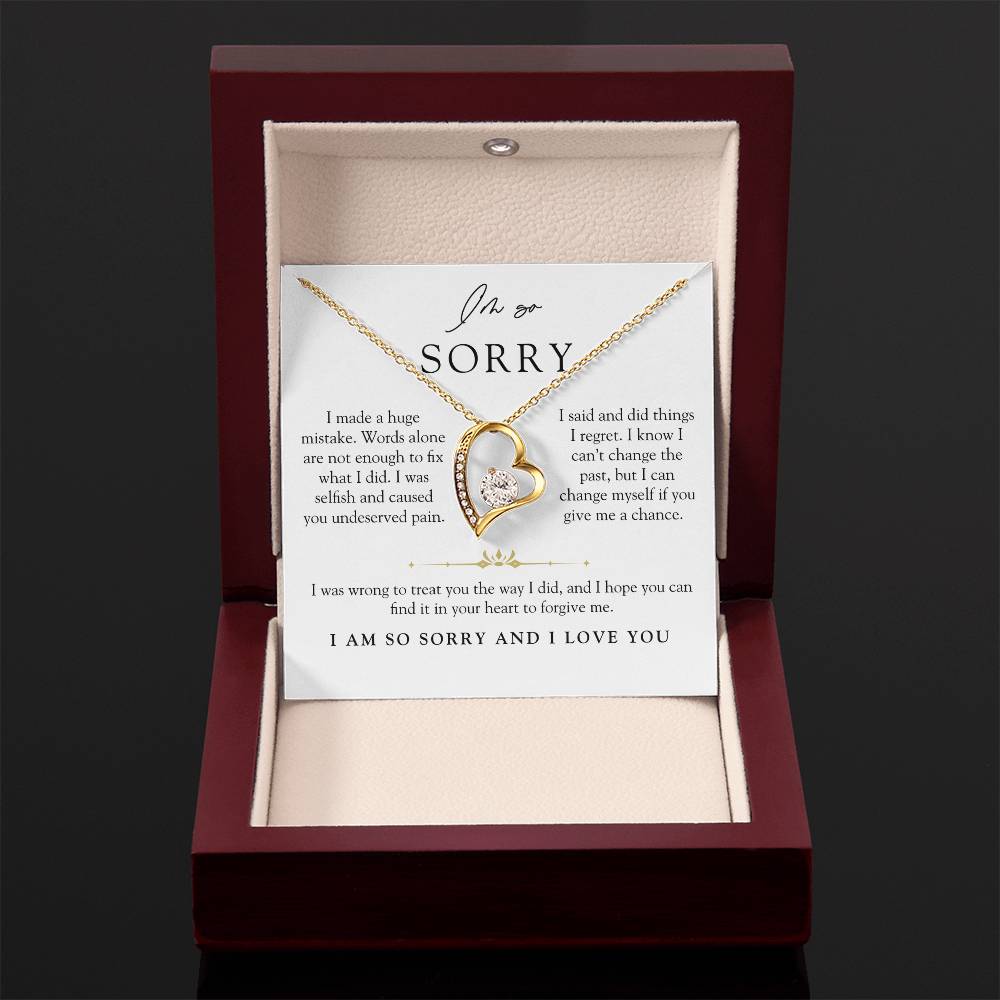 I'm Sorry Apology Heart Necklace | Can't Change The Past