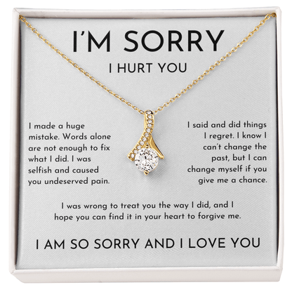 I'm Sorry I Hurt You Apology Gift
