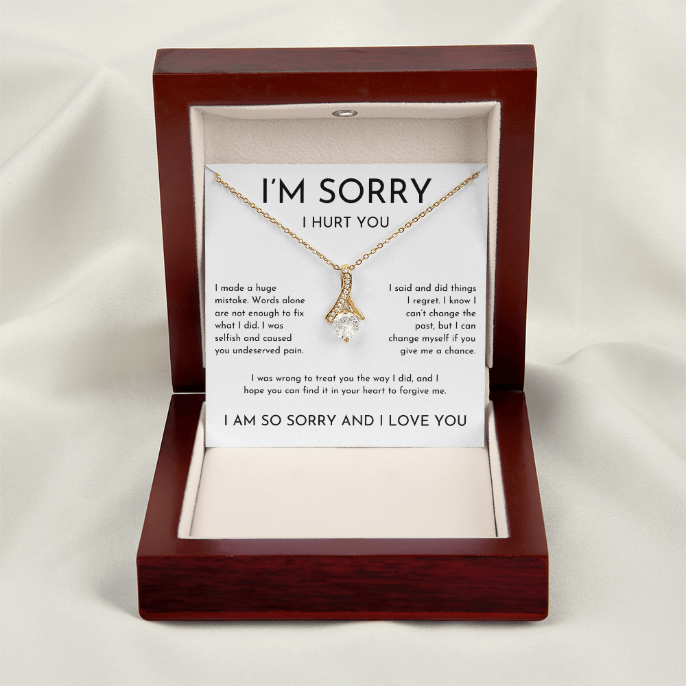 I'm Sorry I Hurt You Apology Gift