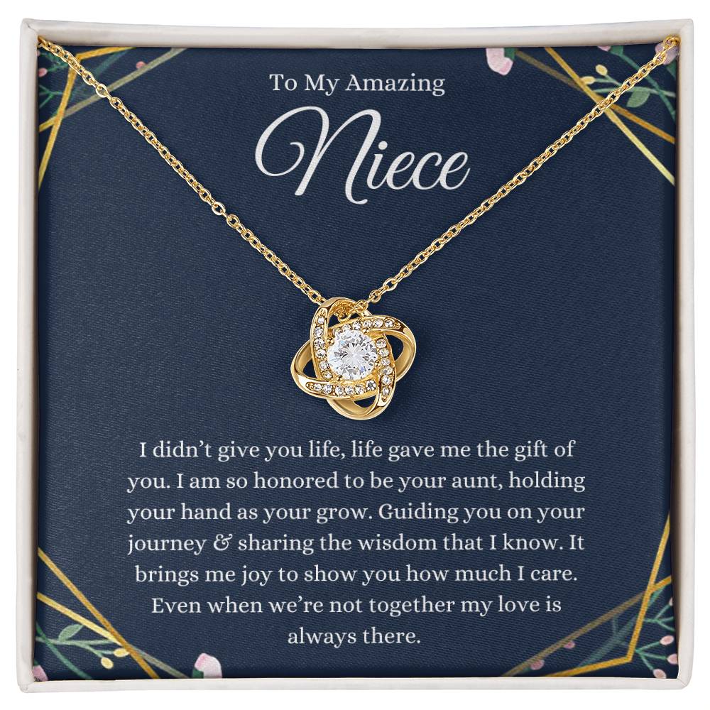 To My Amazing Niece Necklace