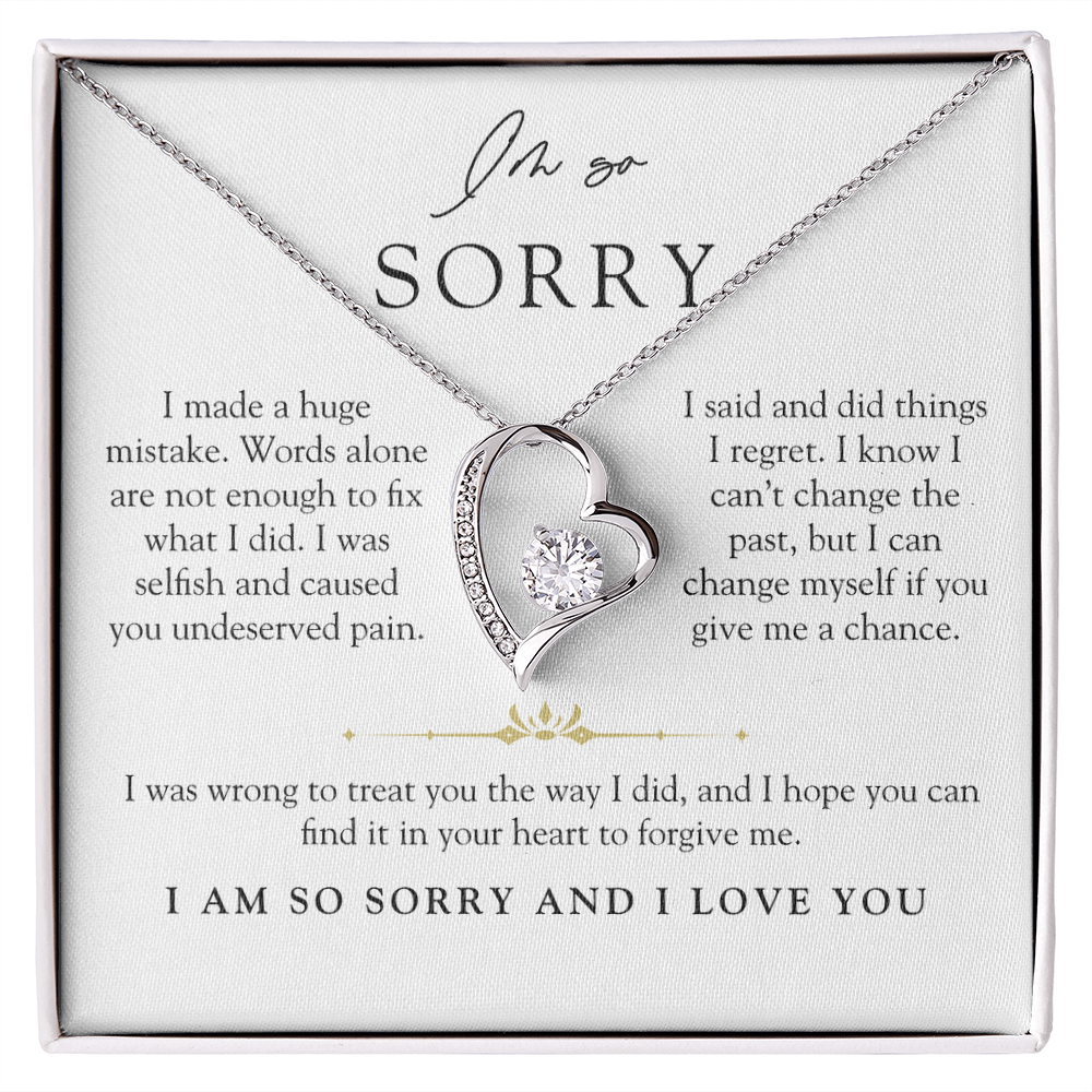 I'm Sorry Apology Heart Necklace | Can't Change The Past