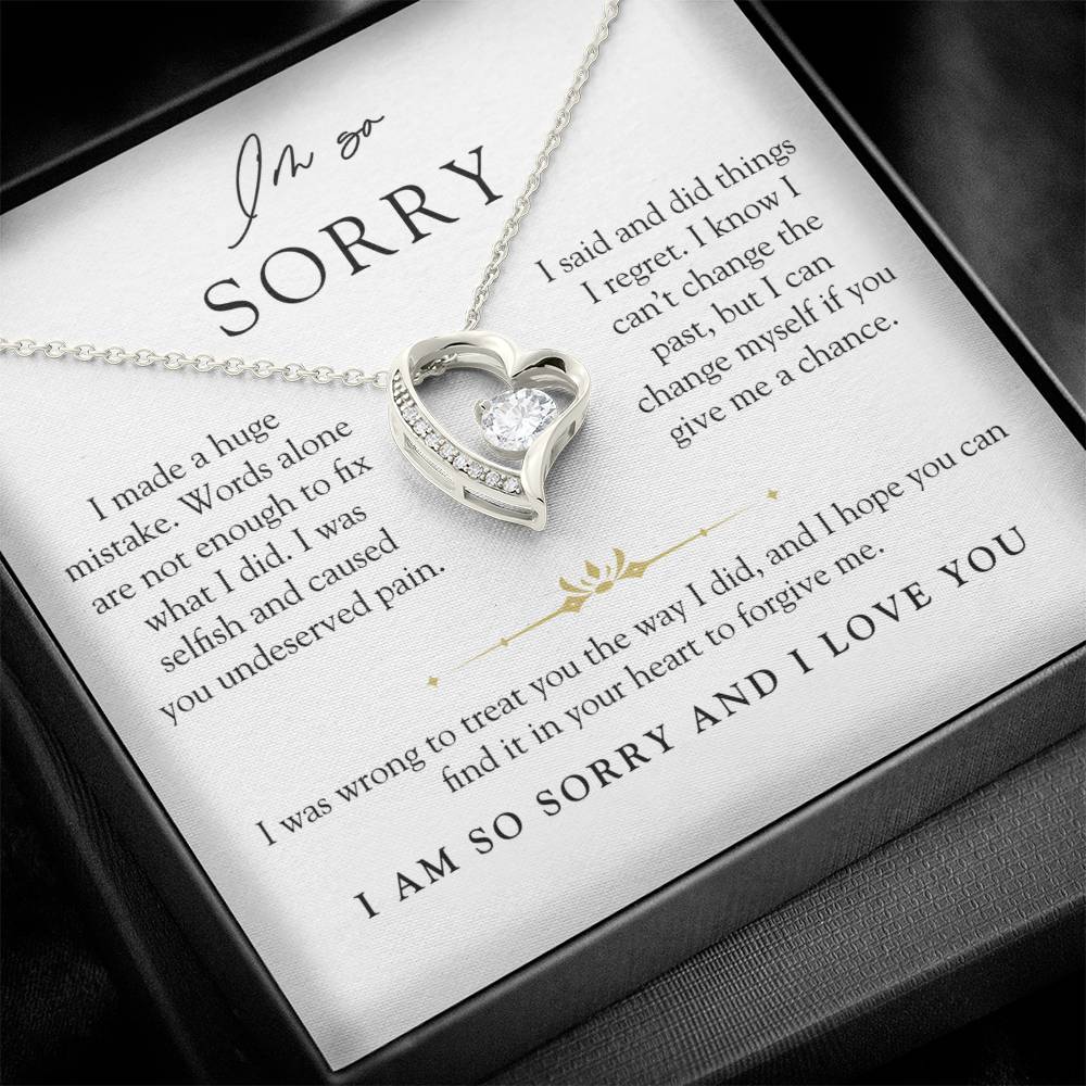 I'm Sorry Apology Heart Necklace | Can't Change The Past