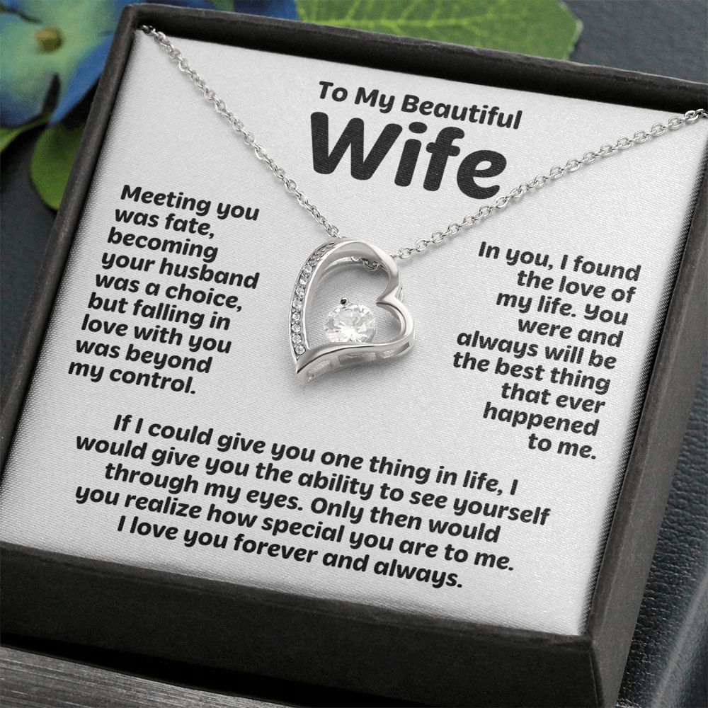 To My Beautiful Wife (Meeting You was Fate)