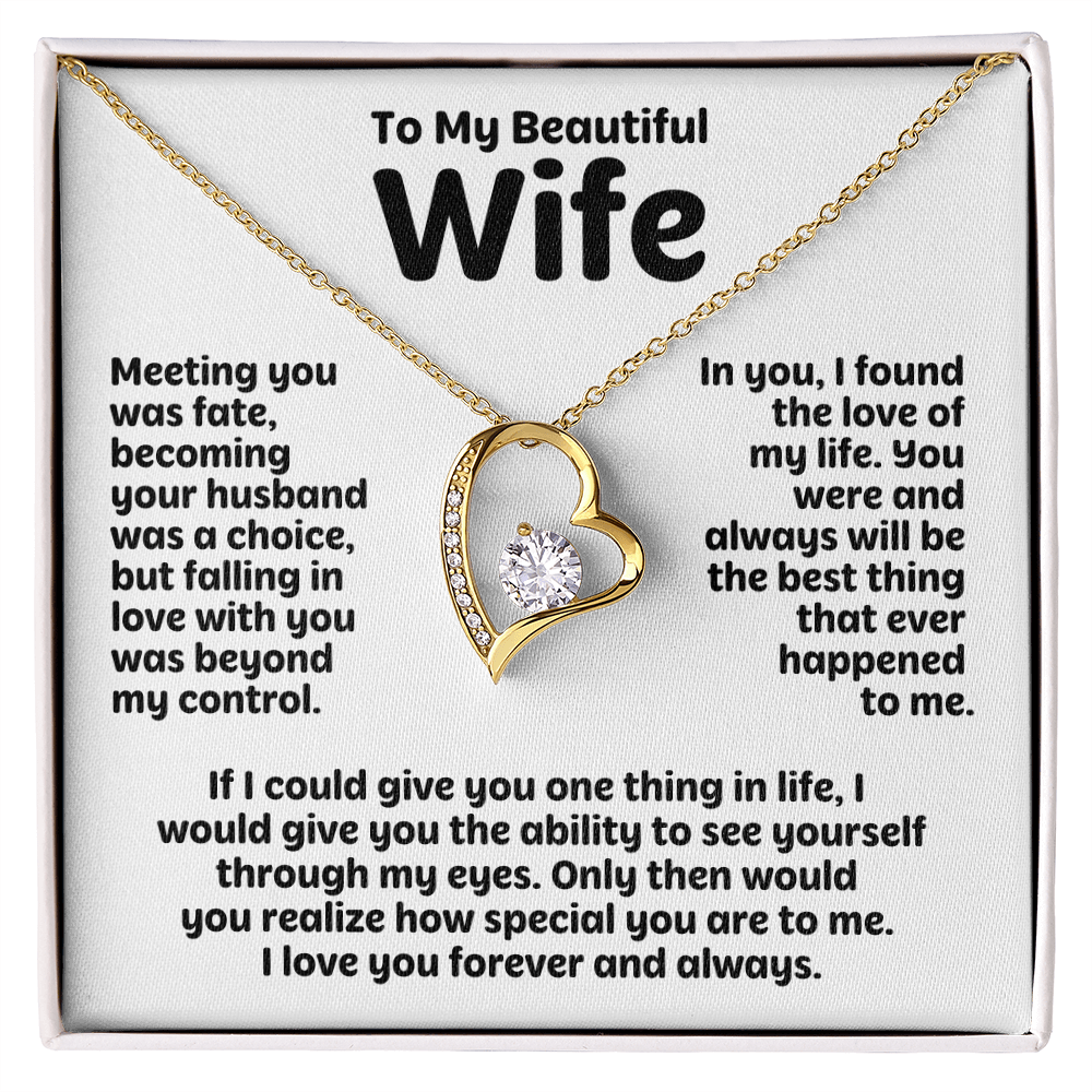 To My Beautiful Wife (Meeting You was Fate)